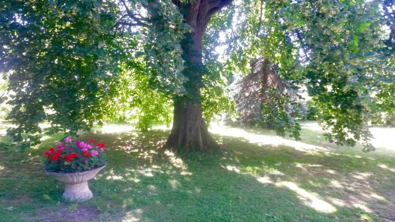 Villa Toulousaine Grisolles  Luaran gambar