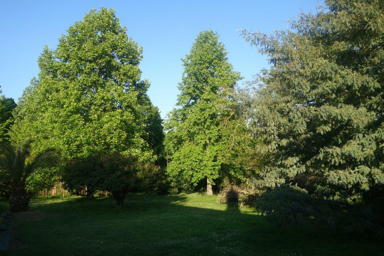 Villa Toulousaine Grisolles  Luaran gambar