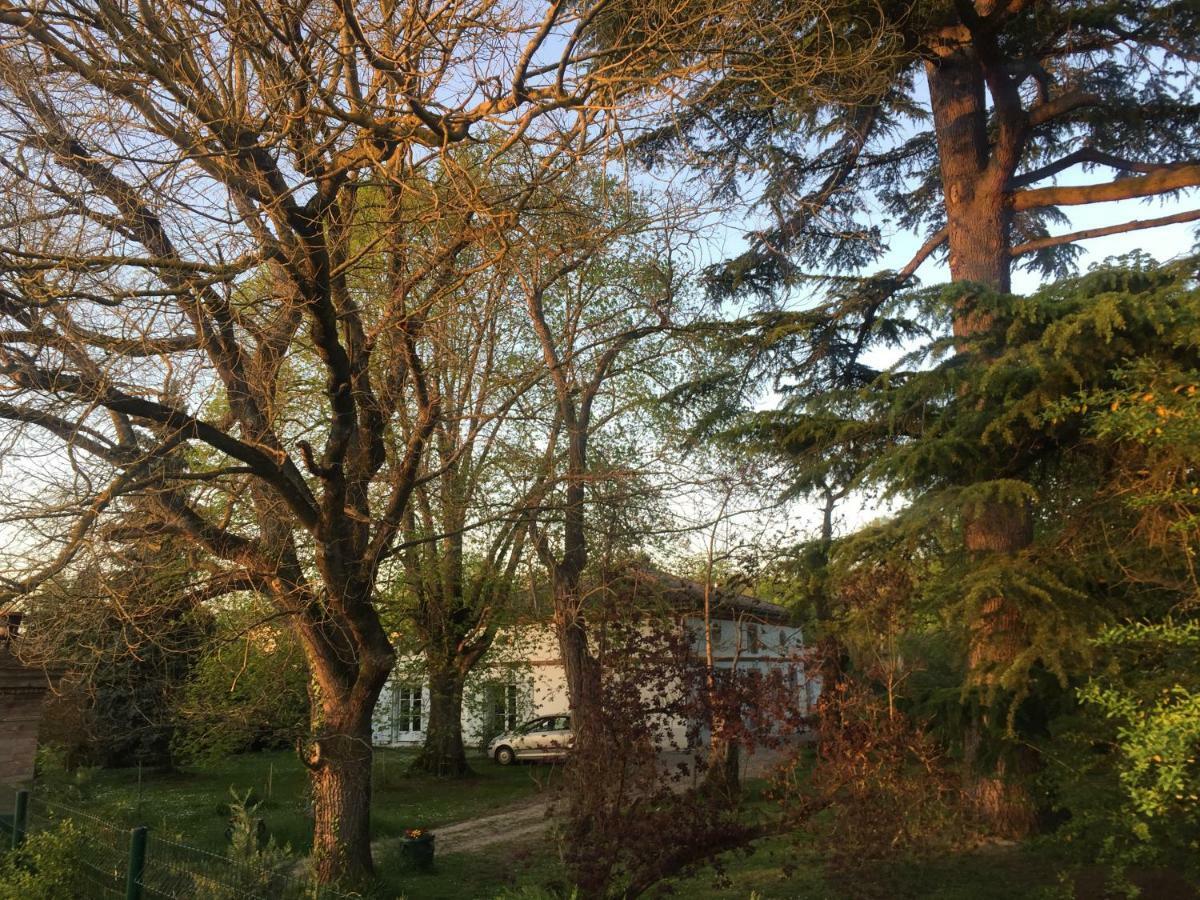 Villa Toulousaine Grisolles  Luaran gambar