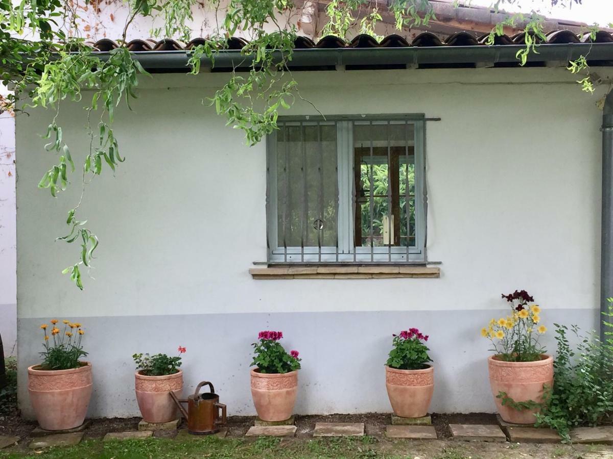Villa Toulousaine Grisolles  Luaran gambar